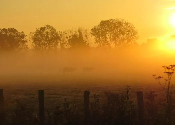 Bed & Breakfast La Petite Foucaudiere